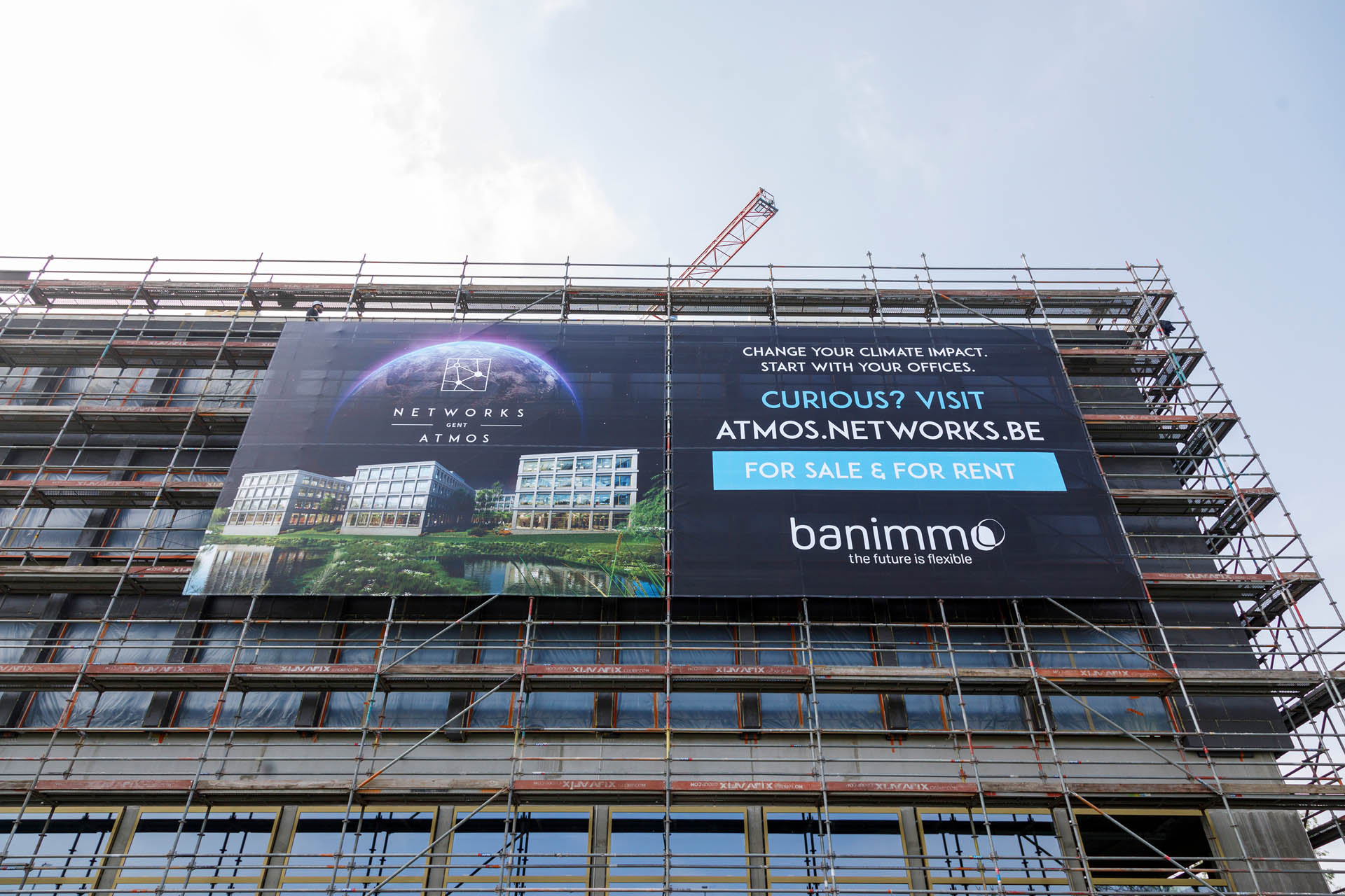 Banimmo